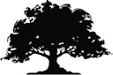 BeechTree Logo